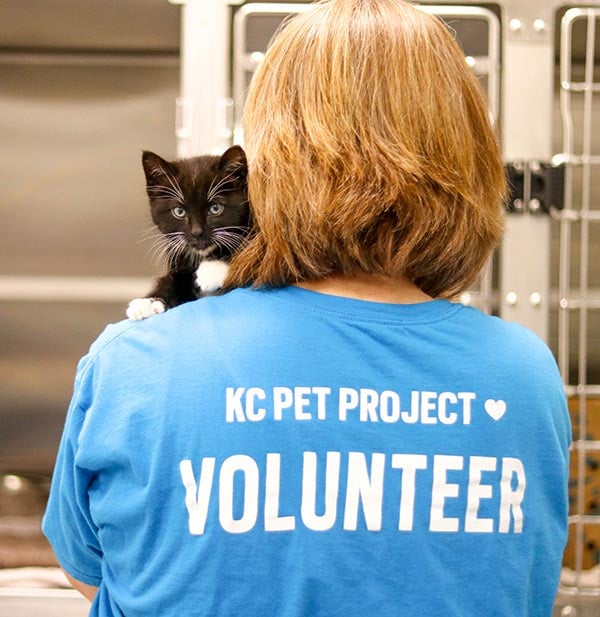 Volunteer with Kitten