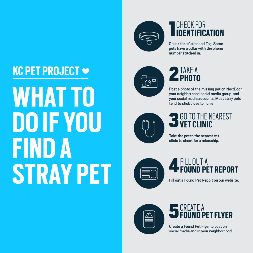 stray pet kc pet project