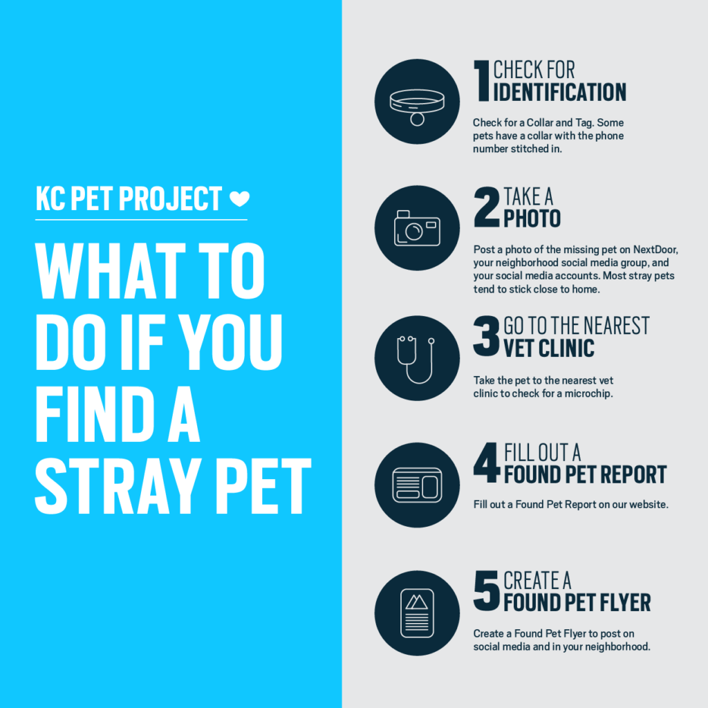 If You Found A Pet Kc Pet Project