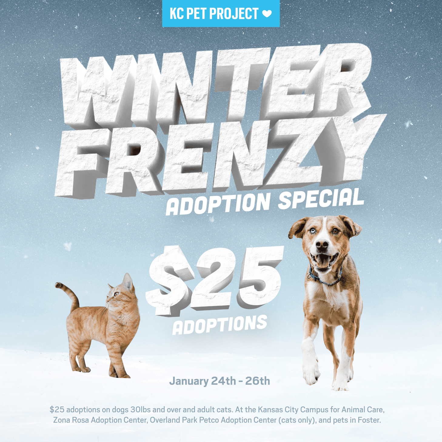 Winter Frenzy Adoption Special Graphic