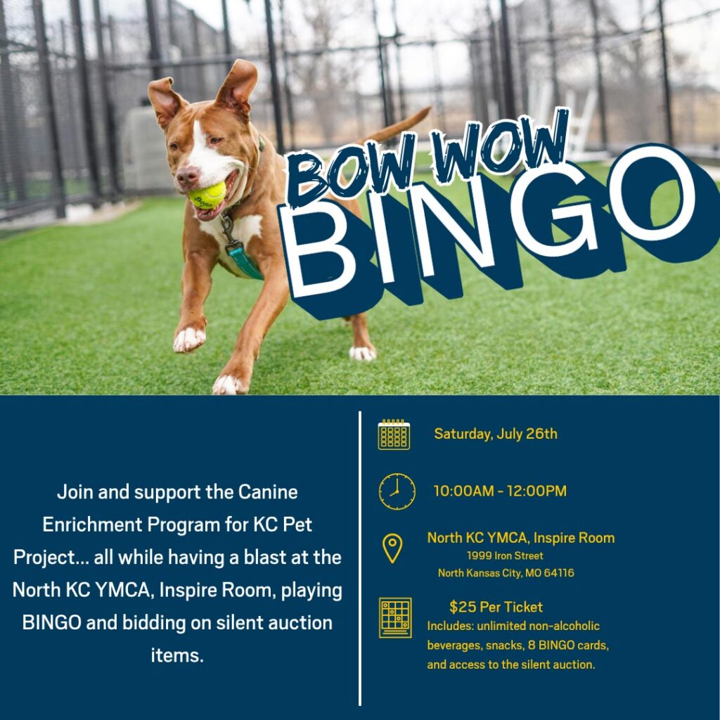 Bow Wow Bingo 2025