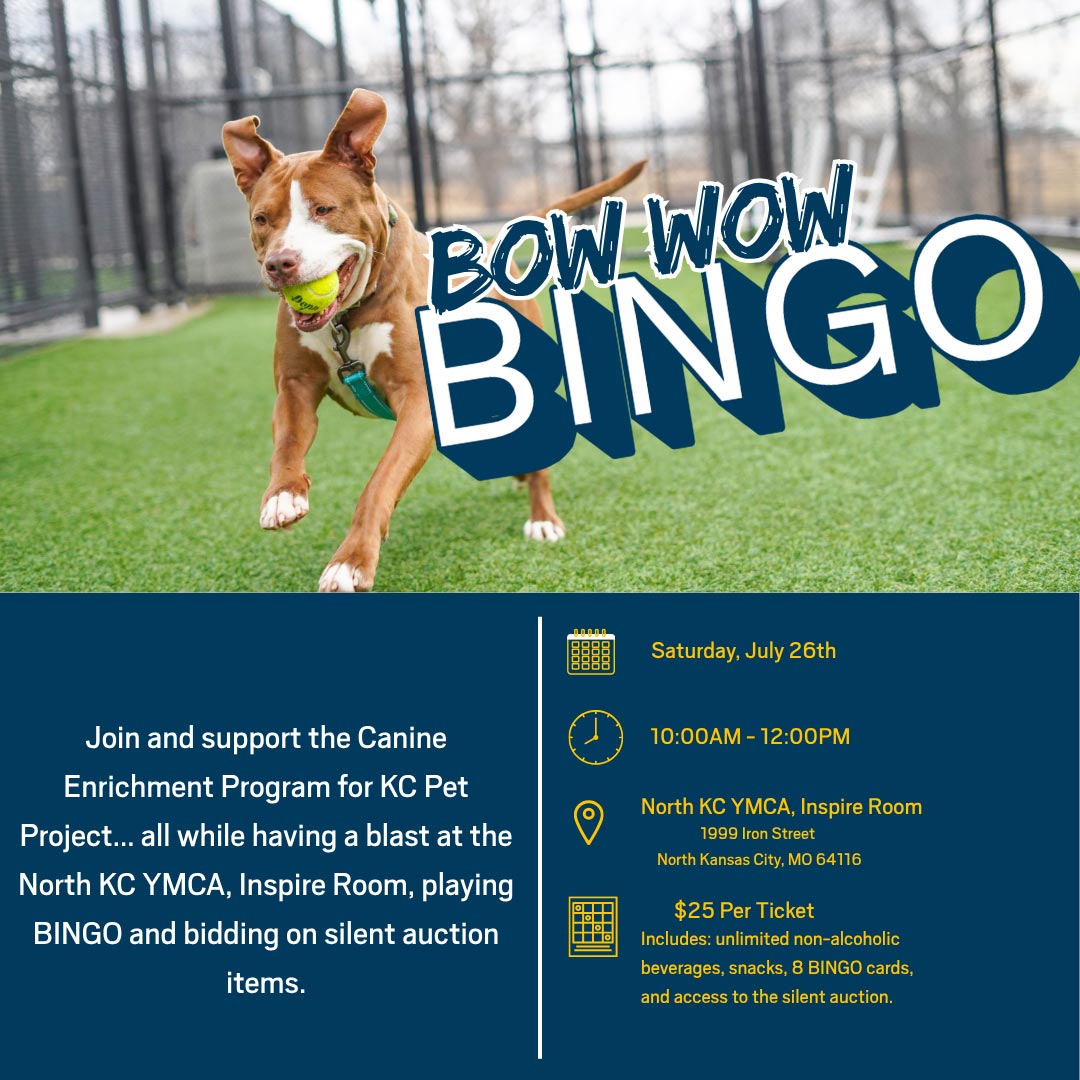 Bow Wow Bingo 2025