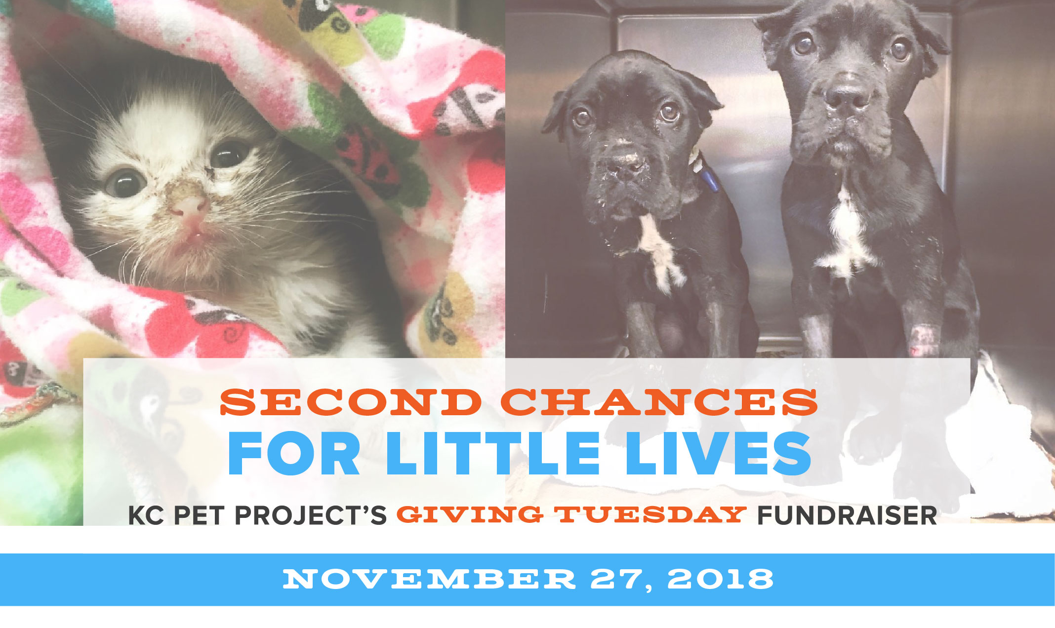 Giving Tuesday - Second Changes for Little Lives