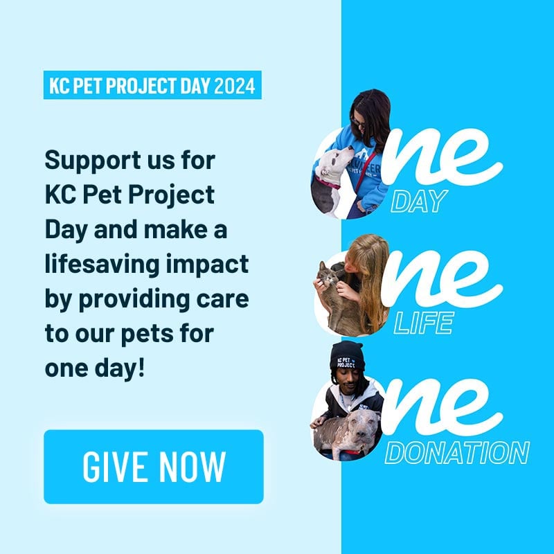 KC Pet Project Day 2024