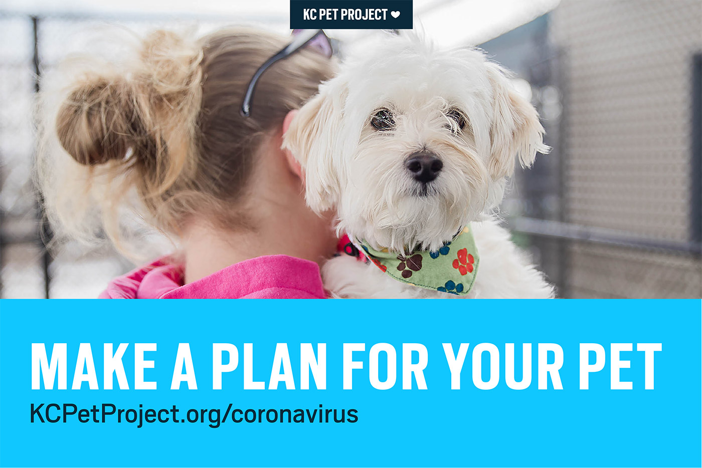 Make a plan for your pet if you get sick from coronavirus