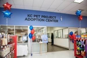 Petco Adoption Center