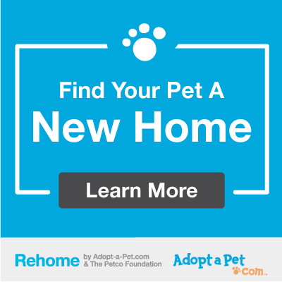 Rehome your pet
