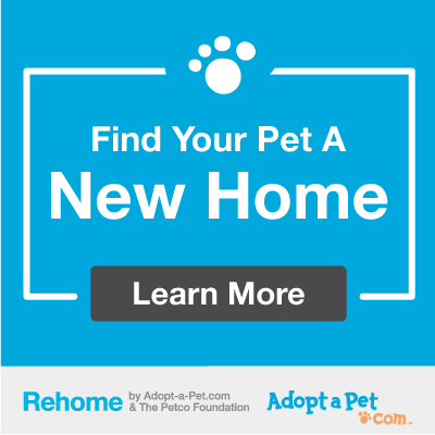 Website to sale rehome pets