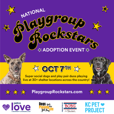 National Playgroup Rockstars Adoption event graphic