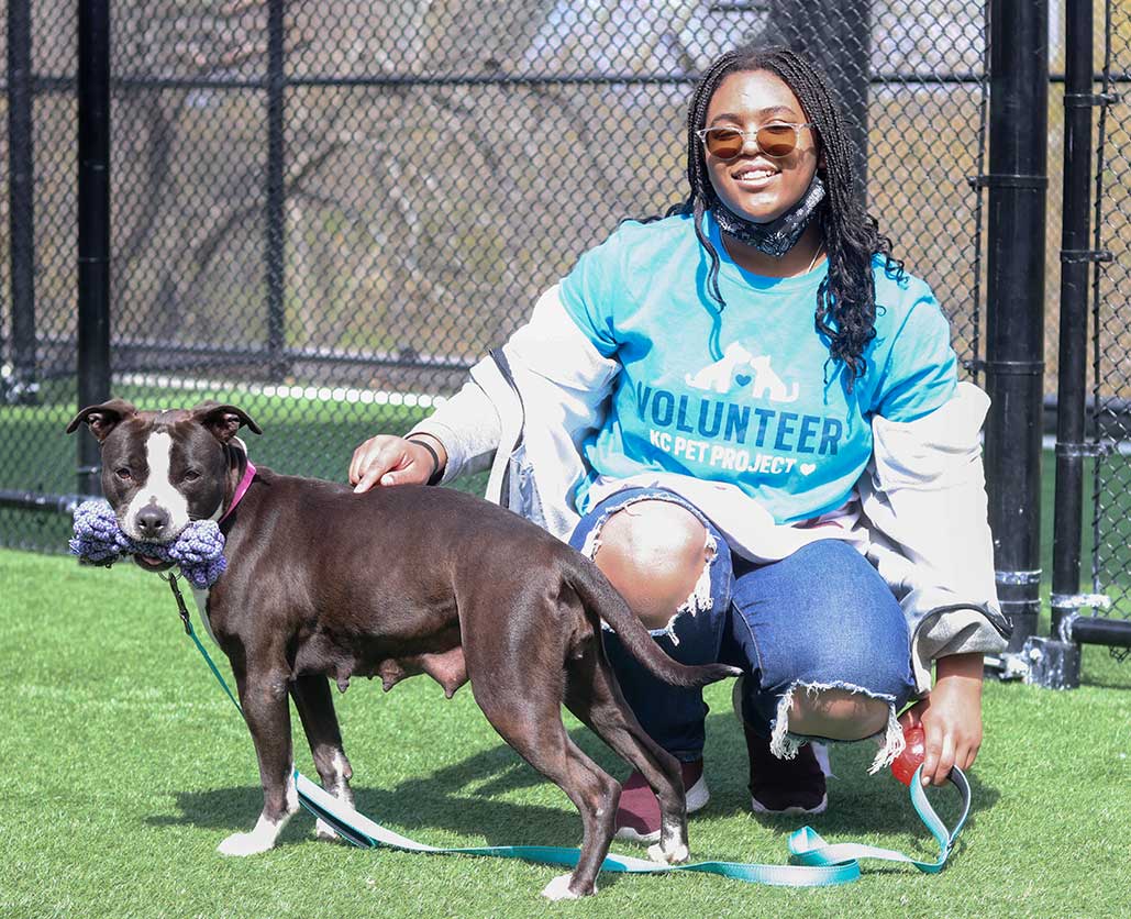 Volunteer | KC Pet Project