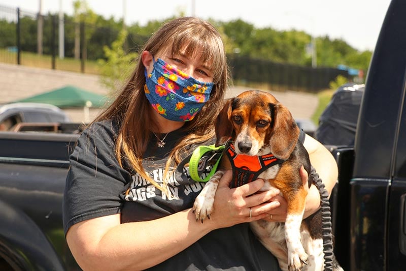 Woman with beagle dog